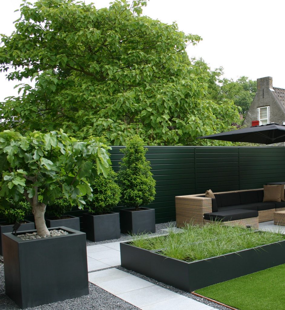 Fibreglass Buxus Planters Caragh Nurseries