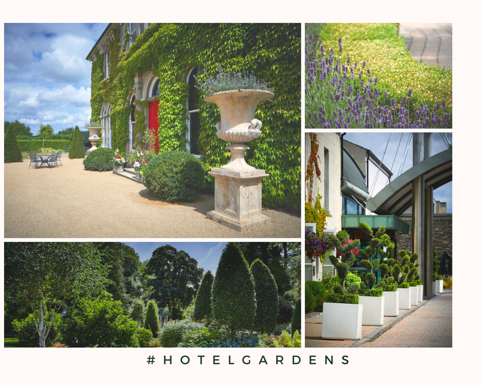 Hotel Gardens | Caragh Nurseries