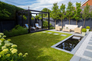 Screening trees | Caragh Nurseries | Caragh Nurseries