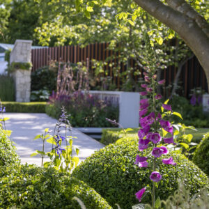 Expert Garden Guidance, Tailored to Your Vision