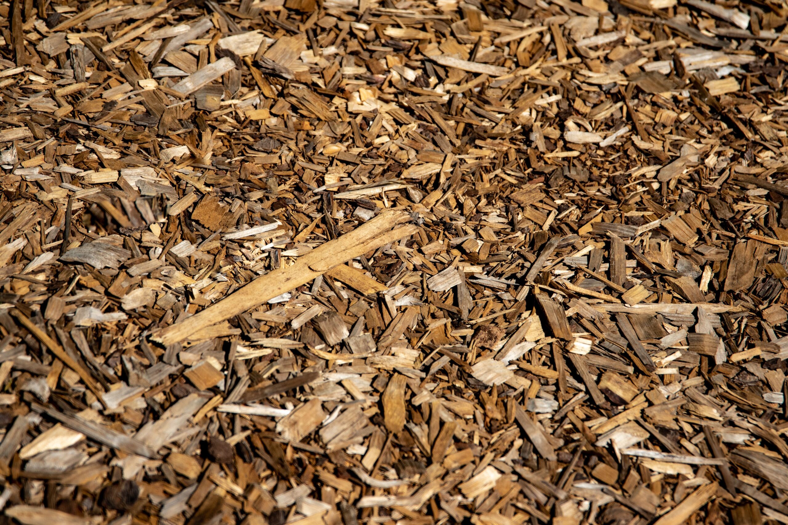 Bark Mulch