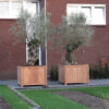 Valencia Hardwood Planter - Image 4
