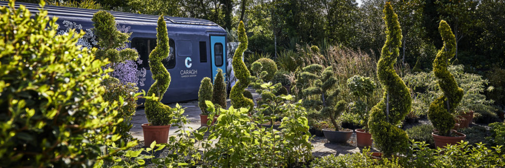 Personal Garden Curator Experience From Caragh Nurseries