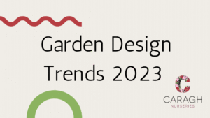 Garden Design Trends 2023 – Caragh Nurseries