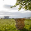 Thistle urn