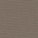 Taupe | Caragh Nurseries