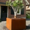Corten Steel Andes Pot - Image 2