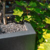 Fibreglass Buxus Planters - Image 4