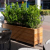 Malaga Hardwood Planter - Image 5