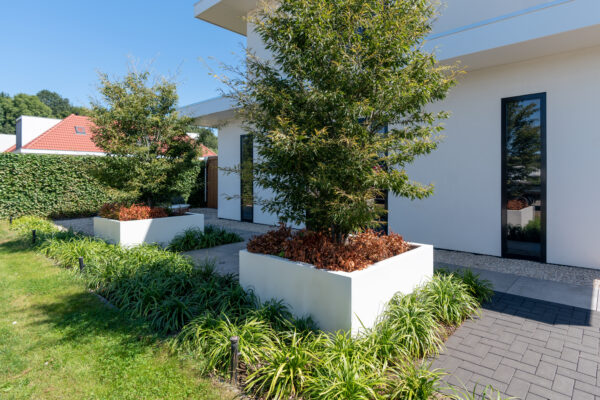 Fibreglass Trough Planters - Image 4