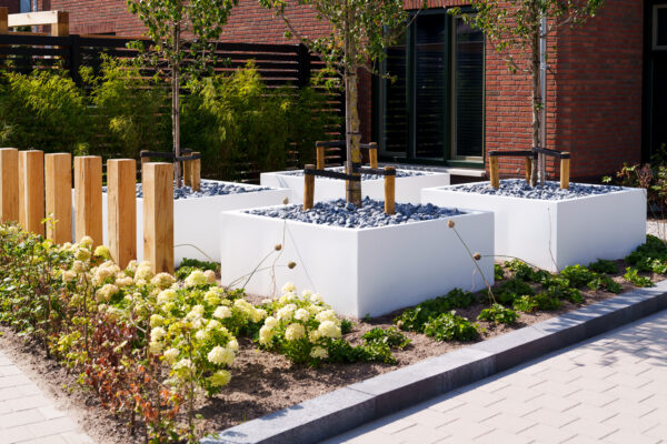 Fibreglass Trough Planters - Image 5