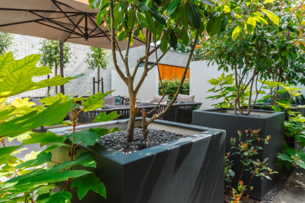 Fibreglass Trough Planters - Image 6