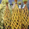 Salix hybrid, Living Willow Sculpture