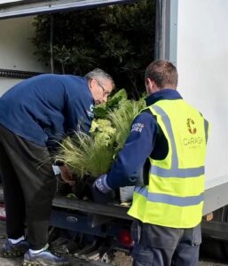 Caragh Nursery Delivery 