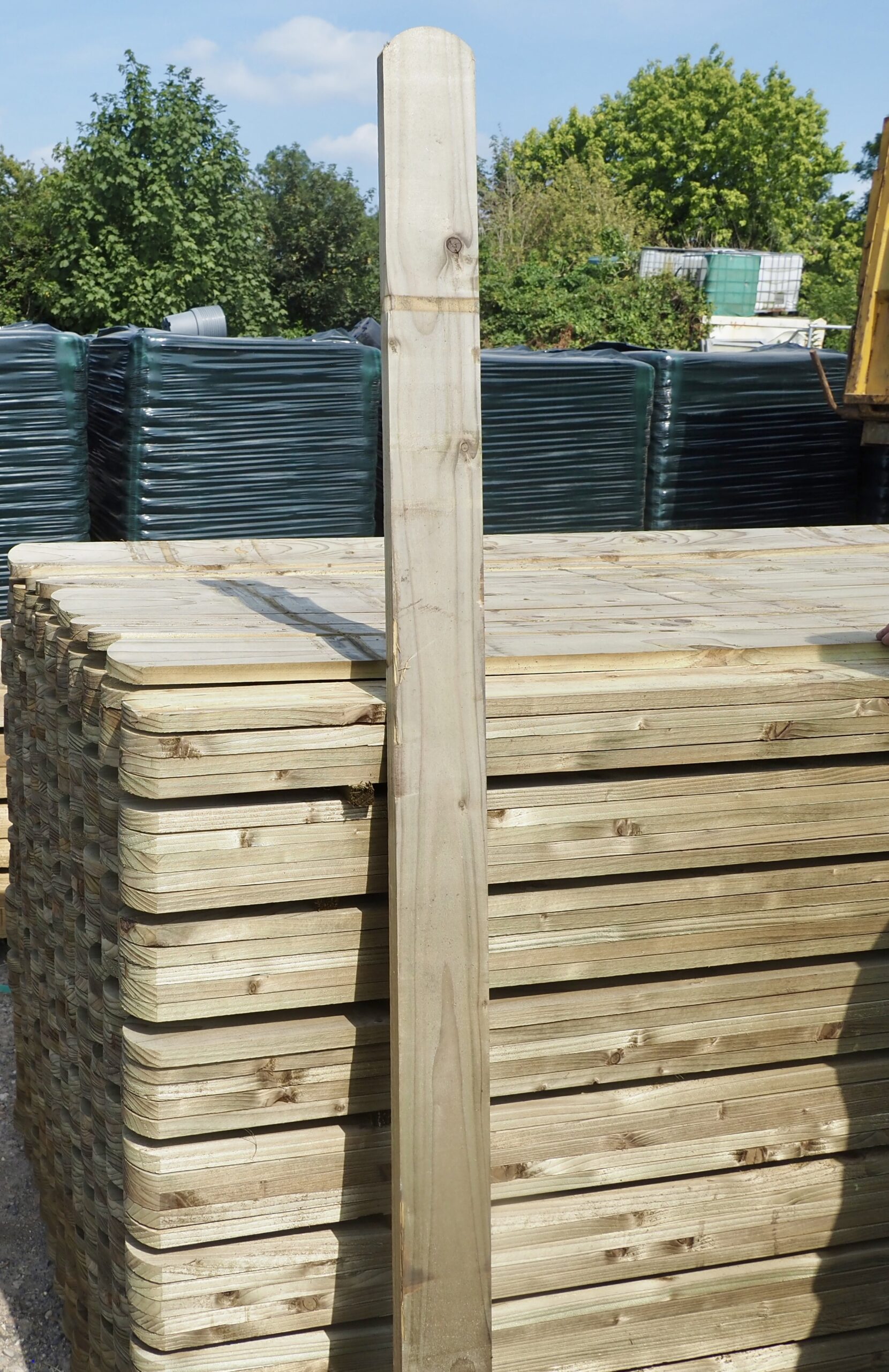 Round Top Picket Board 1.8m x 100 x 22 - Image 2