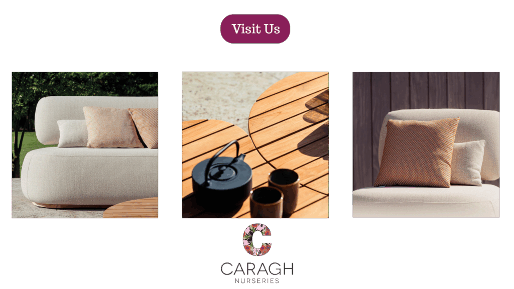 Visit Us