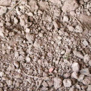 Enriched Screened Topsoil