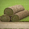 Cultivated Lawn Turf - Roll of Turf 1.2m2