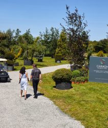 Caragh nursery Park entrance