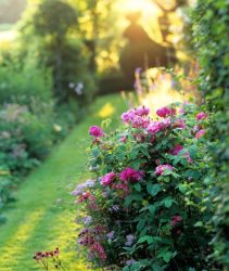 A0BPPR Garden path at sunset. Image shot 1995. Exact date unknown.
