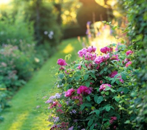 Garden path at sunset. Image shot 1995. Exact date unknown. A0BPPR Garden path at sunset. Image shot 1995. Exact date unknown.