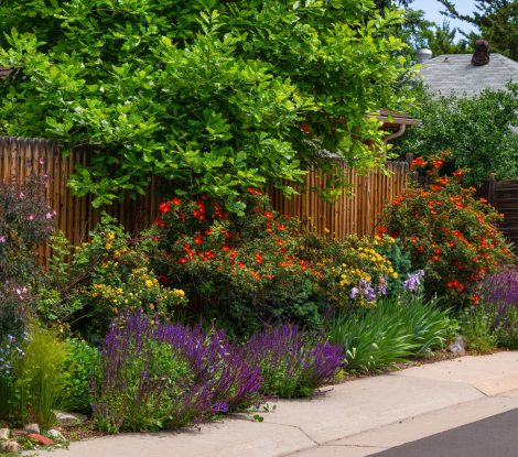 A,Beautiful,Mix,Of,Colorful,Rose,Bushes,And,Other,Flowers
