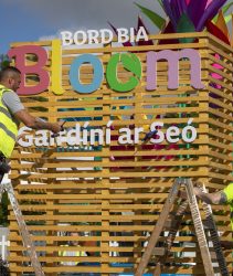 Bord Bia Bloom 2022