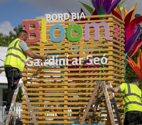 Bord Bia Bloom 2022