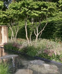 laurent perrier garden 2014 RHS Chelsea stream